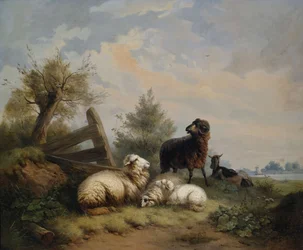 Sheep, Ram, and Goat at the Gate